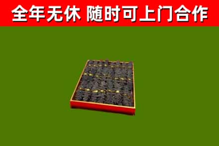尉犁烟酒回收海参.jpg